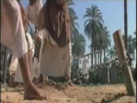 Tala al Bedru Aleyna