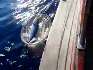 13 ARALIK 2012 VİD (4)