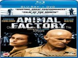 Animal Factory (2000) 720p WEB-DL DD5.1 H264-ViGi