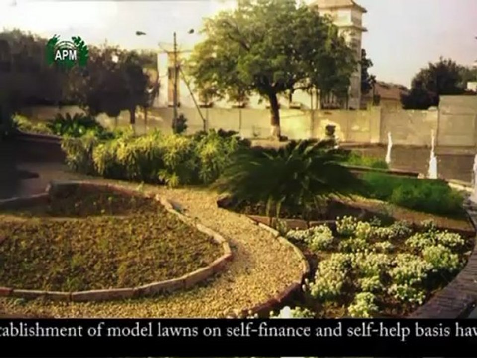 APM V1 (Establishment of Model Lawn)7