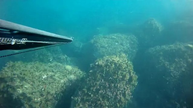 chasse sou marine du 101212