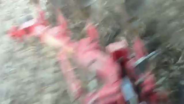 massey ferguson 5455