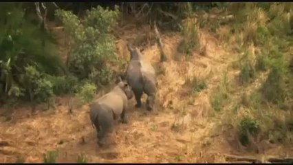 Save the Rhino: Fight Poaching 🦏