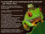 La grenouille qui ne savait pas qu'elle était cuite... et autres leçons de vie par Olivier Clerc