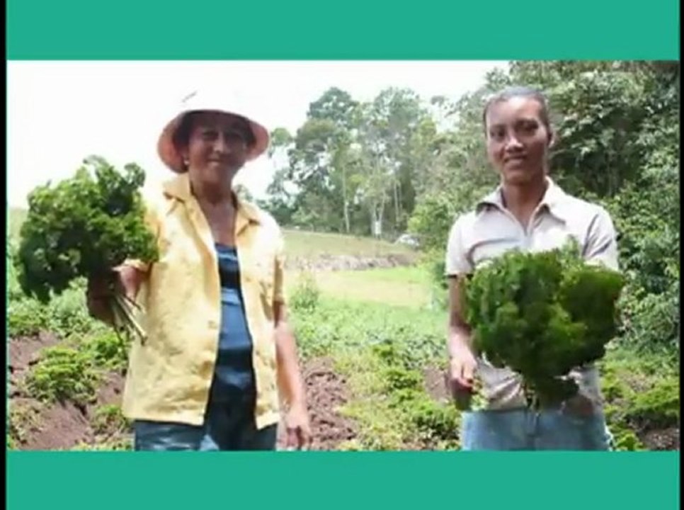Reportaje sobre el grupo de mujeres de ASOPROL. Noticiero Abriendo Brecha, Canal 7.