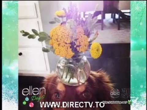 Amanda Seyfried Interview And Rap Dec 13 2012