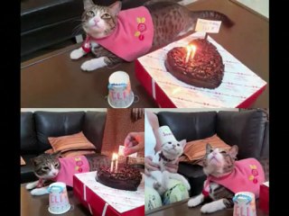 In Loving Memory of Eli and Maki