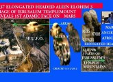 MARS  TEMPLEMOUNT ELONGATED HEADED ALIEN CHERUBS IMAGES OF YESHUA