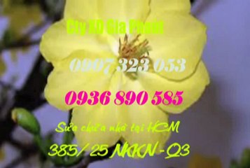 Sửa Chữa Nhà Chống Thấm tại Quận 3 call 0936 890 585