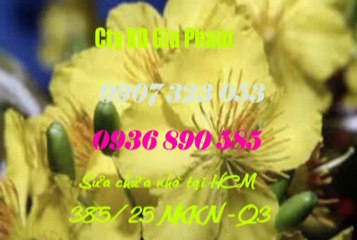 Sửa Chữa Nhà Tại Quận 3,TPHCM call 0936 890 585