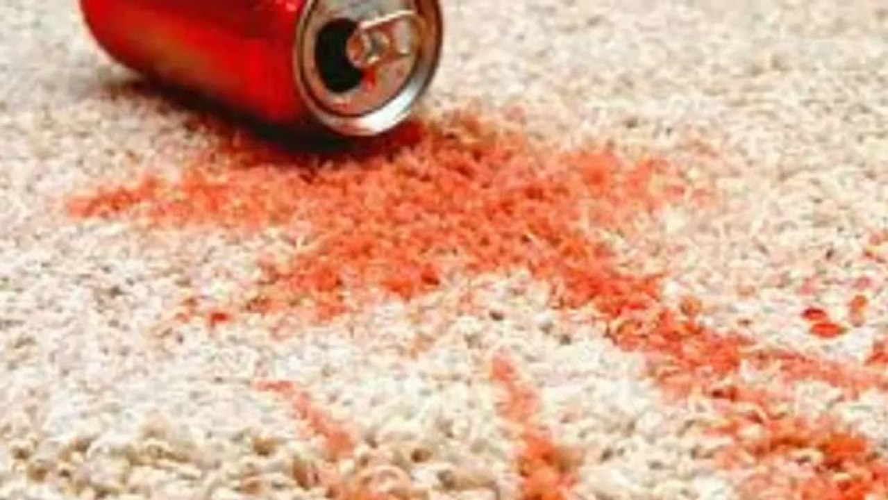 Primus Carpet Cleaning  (320) 352-2634