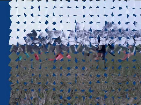 Baya agility (en avant saute+slalom)