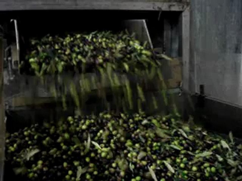 Olio Extra Vergine 2013 prodotto e confezionato in frantoio