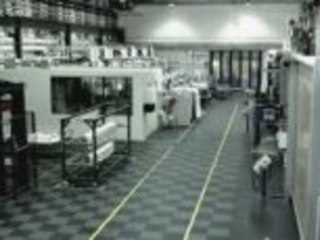 Die Regierung, das E-Auto und die Milliardärin