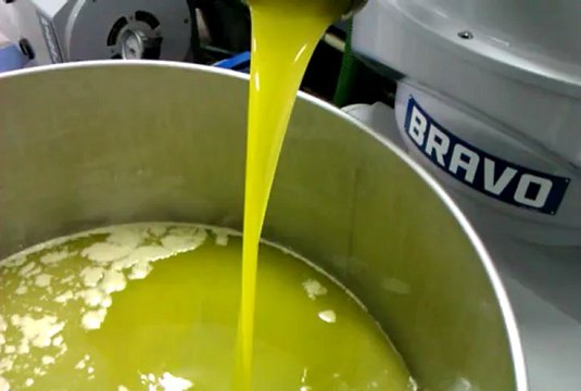 Produzione Olio Novello 2013 in frantoio - Olio Cristofaro