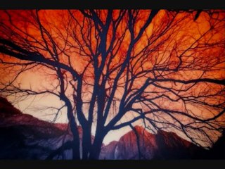 135 24 Heures en images 11