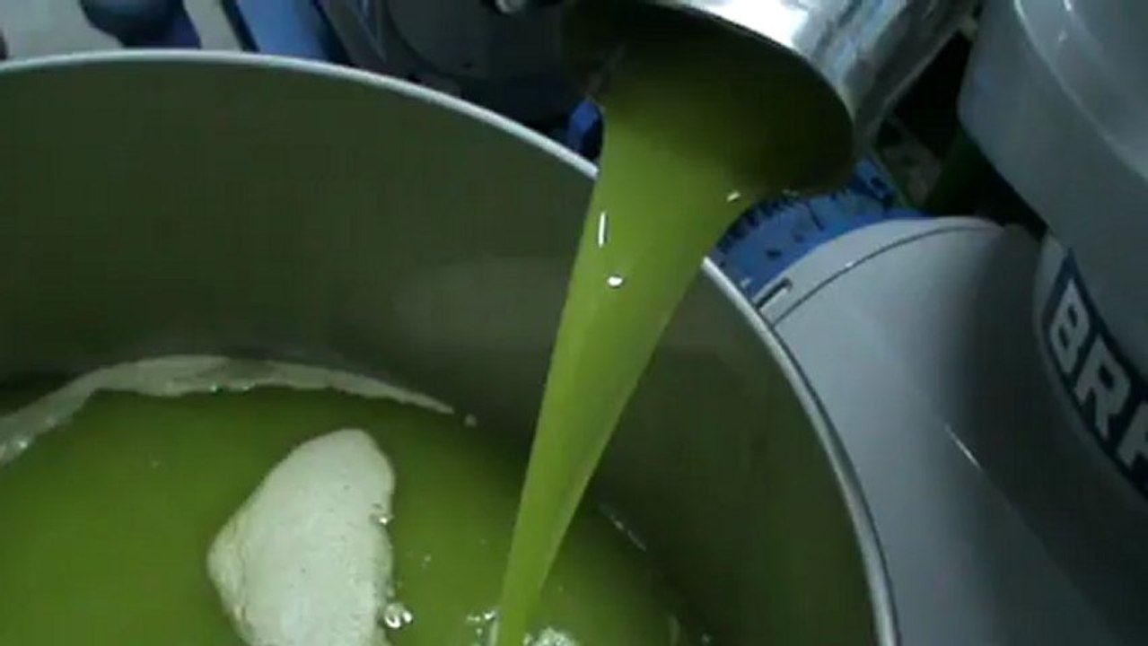 Spremitura e separazione olio extra vergine in frantoio - Olio Cristofaro