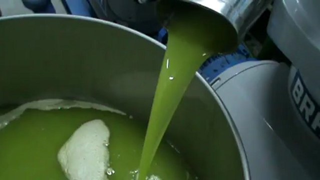 Spremitura e separazione olio extra vergine in frantoio - Olio Cristofaro
