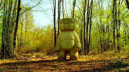 Portrait Pascal Yonet - Le Vent des Forêt