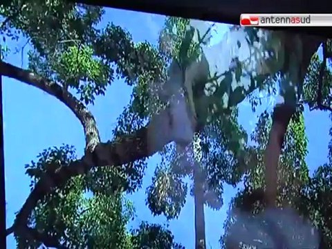 TG 06.12.12 A Bari la trilogia di Ritorno al Futuro