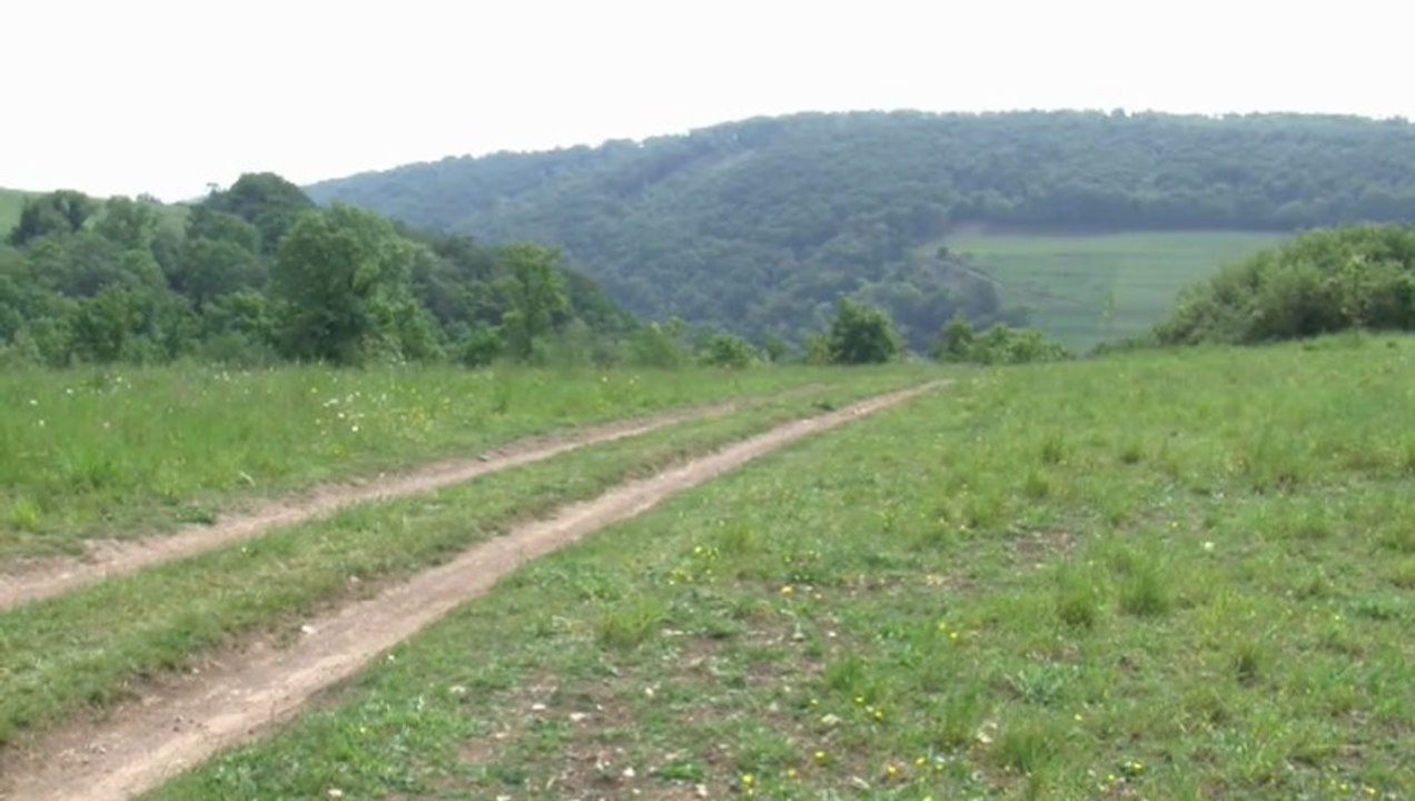 Mon avenir à la campagne - L'accueil du territoire