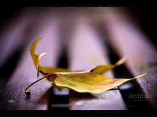 WO BEETEY DIN YAAD HEIN - PURANA MANDER