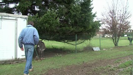 Un paysan résiste à l'expropriation d'une partie de ses terres