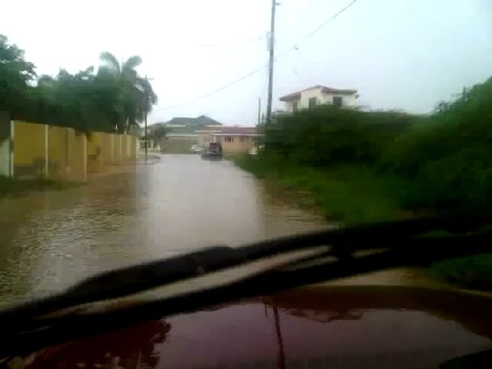 Sonido de sapos