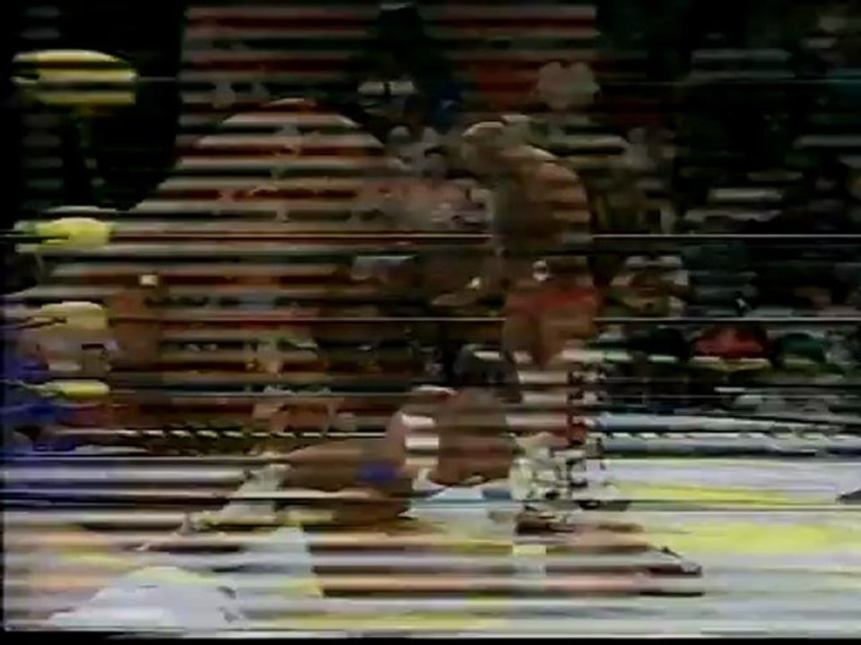 wcw 05-28-1994 pt2