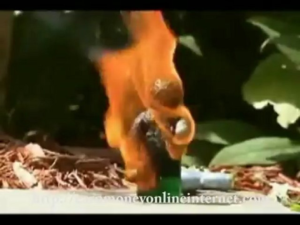 Fire Your Boss