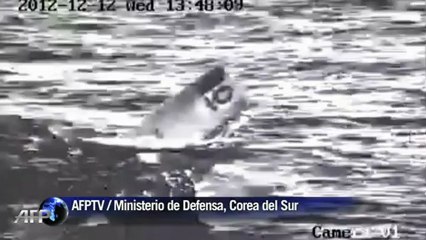 Hallan restos del cohete