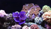 4-16-12-2012