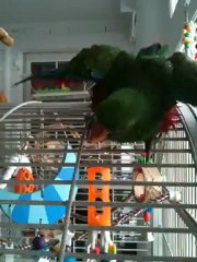 Captain is taking a shower