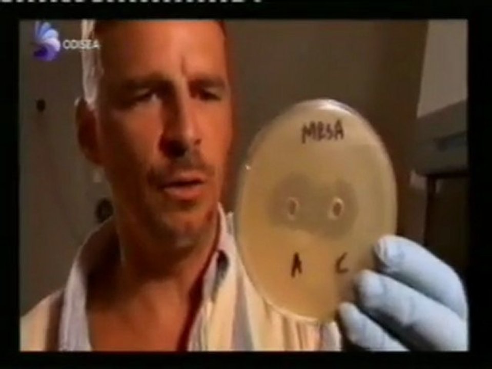 Antibioticos reptilianos: El sistema inmunitario del cocodrilo