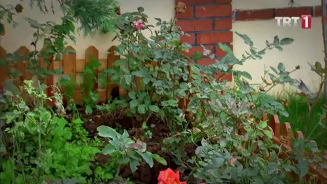 Zengin Kız Fakir Oğlan 14. Bölüm Dizi İzle (tek parça)