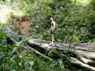 Résumé des premiers mois en Guyane...