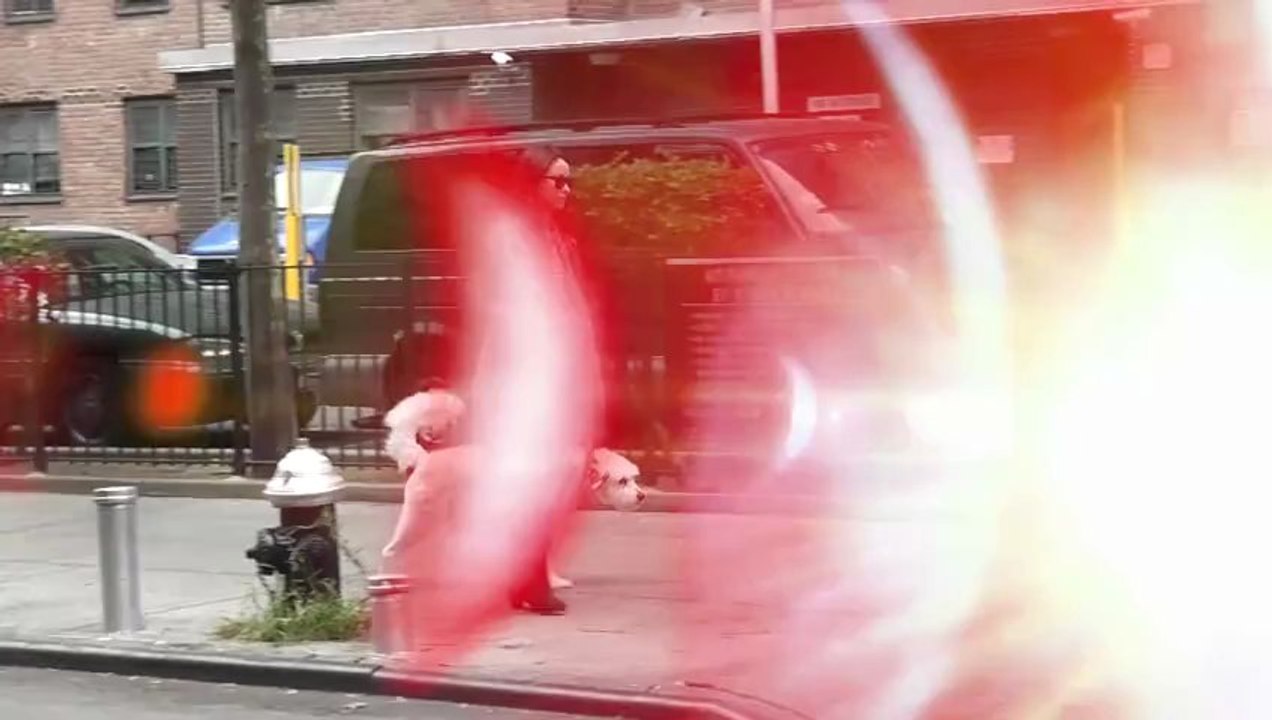 Olivia Wilde und Jason Sudeikis verlobt?