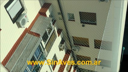 Ahuyentar palomas con red en pozo de aire y luz de edificio