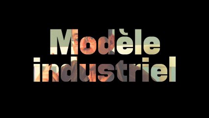 Modèle industriel - Bernard Stiegler