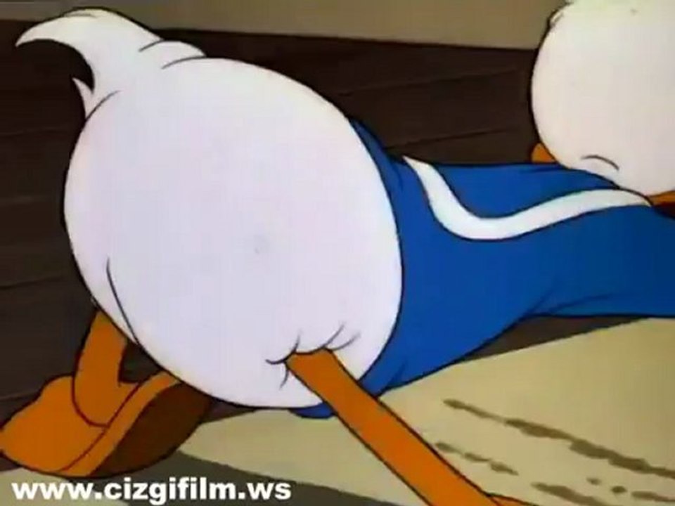 34. d_duck