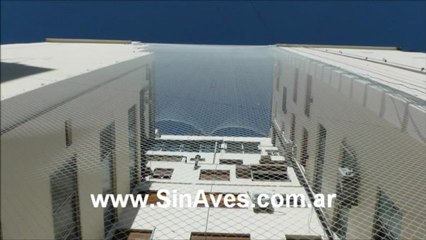 Ahuyentar palomas con red en pozo de aire y luz de edificio