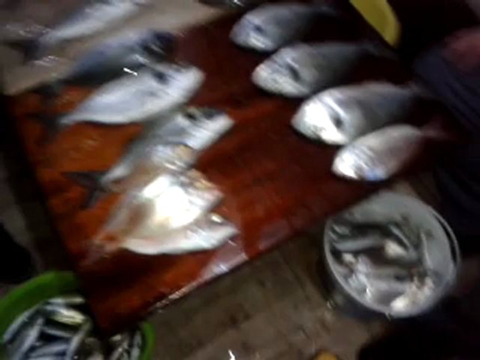 video-2012-12-14-17-34-48
