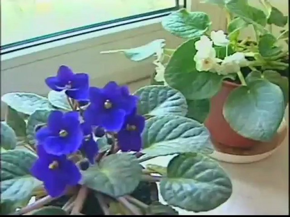 Совершенно секретно - Дети Вождей