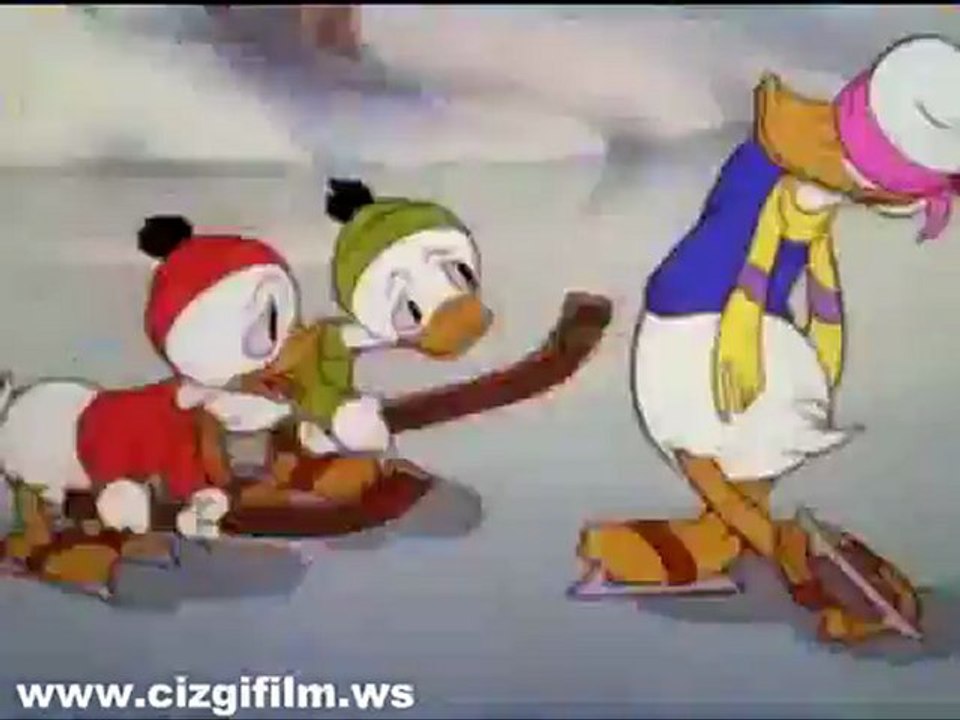 40. d_duck