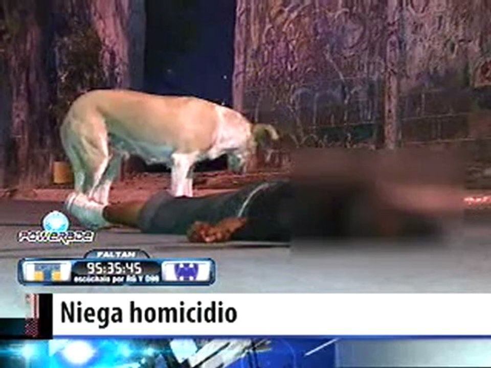 Niega Homicidio / Perro Triste por muerte de su amo ( Sad Dog )