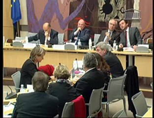 intervention Audrey Linkenheld  - Audition de Cécile Duflot