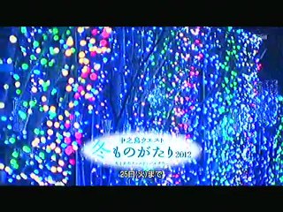 121215-0015　中ﾉ島ライトアップ