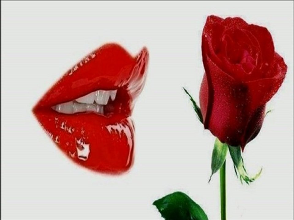 Joe McBride ~ Kiss From a Rose
