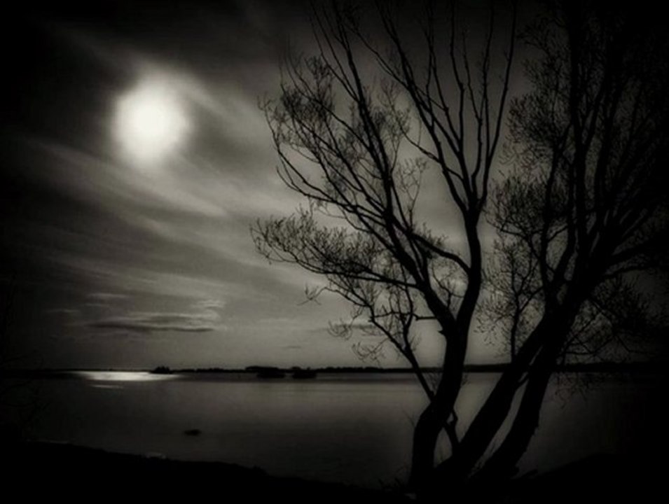 Joel Armstrong - Silvermoon (Joris Delacroix Remix)