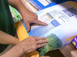 How To Choose The Right Dog Food